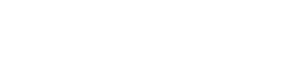 Fastlane Motorsports & Classic Cars
